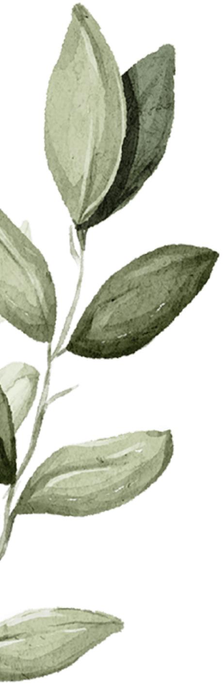 branch-1-